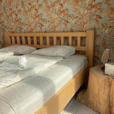 Apartman Terasa Διαμέρισμα Boskovice Εξωτερικό φωτογραφία