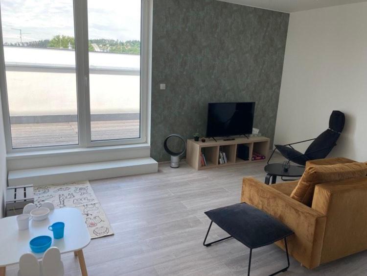 Apartman Terasa Διαμέρισμα Boskovice Εξωτερικό φωτογραφία